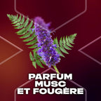 Axe Supreme Men'S Deodorant Spray Musk 48H Freshness & Perfume