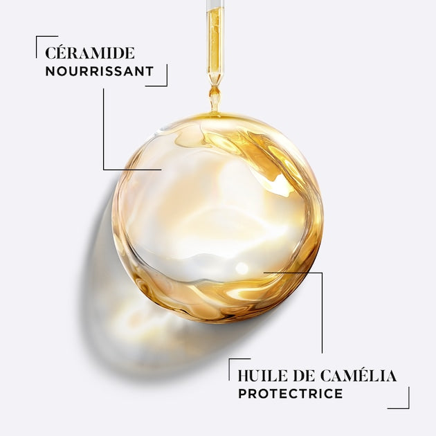 شامبو ديسانج نوتري إكستريم المضاد للجفاف