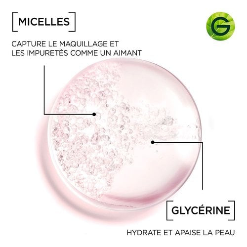 Garnier Solution Micellaire Tout
