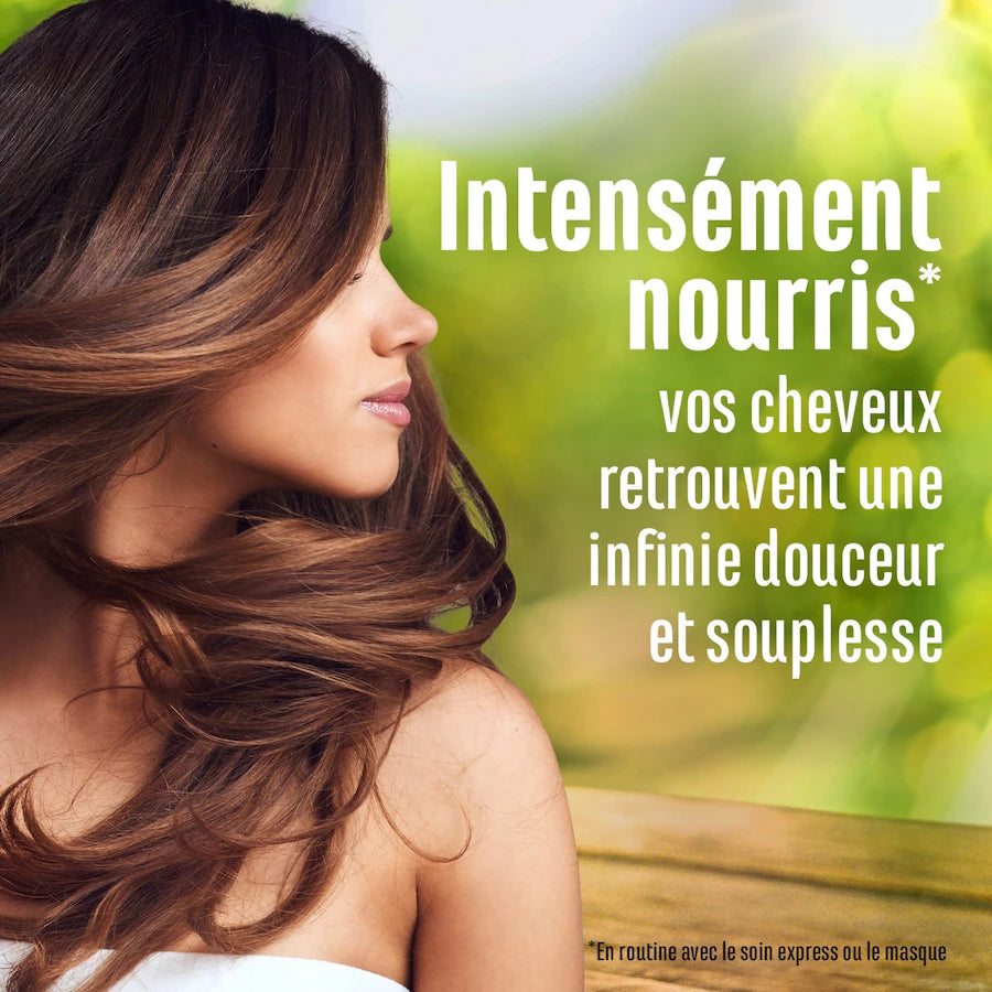 شامبو لو بيتي مارسيليا للتغذية المكثفة بزيت الأرغان العضوي