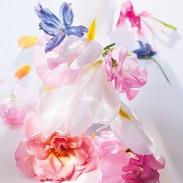 عطر ميس ديور أو دو بارفان