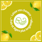 شامبو لو بوتي مارسييه المنعش للتخلص من السموم مع خلاصة الشاي الأخضر العضوي