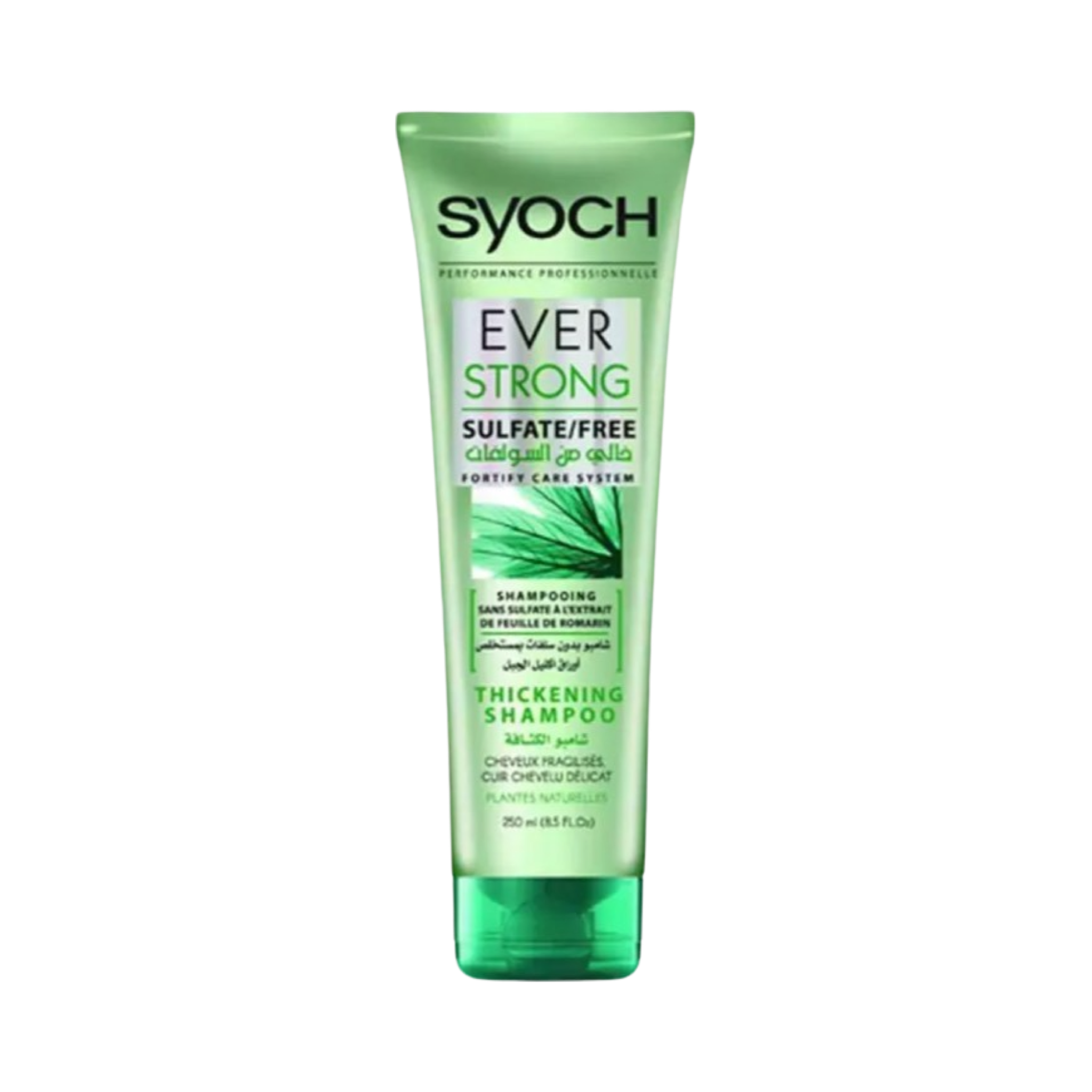 Syoch Ever Strong Sulfate/Free Shampooing Sans Sulfate L’Extrait De Feuille De Romarin