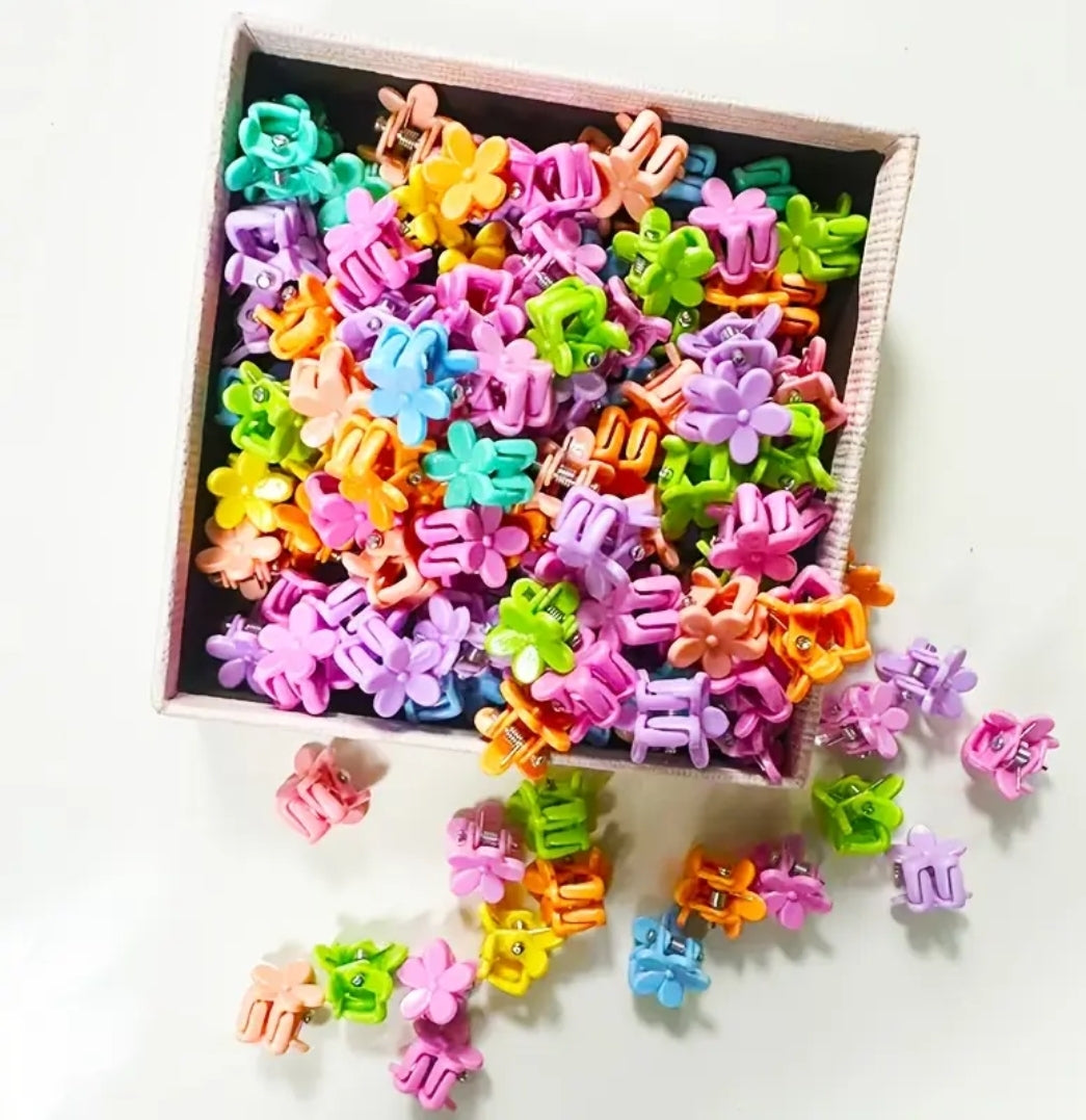 10 Pinces À Cheveux Miniatures Colorées